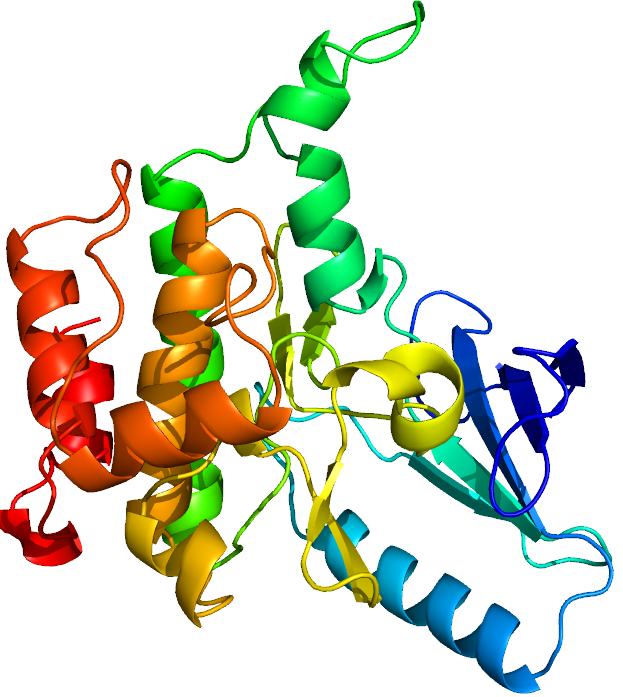 Protein Function Prediction